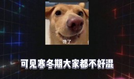 娱乐吃瓜教程在线观看,跟随娱乐教程，在线解锁快乐时光