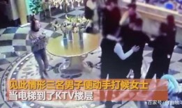 南宁巨型生物爆料事件视频,揭秘神秘生物之谜