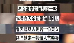 刘大锤最新爆料辛芷蕾,背后真相令人震惊！