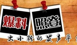 小鱼新闻爆料,揭秘事件背后惊人真相