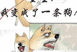 可笑的吃瓜小说免费阅读,揭秘吃瓜小说免费阅读背后的趣味世界