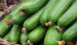 黄瓜cucumber在线观看,在线观看，探索清新美食之旅