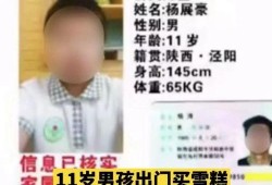 失踪男孩爆料视频,惊心动魄的爆料视频背后