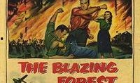 forest在线观看,Forest在线观看体验分享