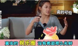 关于娱乐圈的真实爆料,揭秘明星背后的真实故事