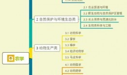 狗大团子爆料视频大全集,揭秘娱乐圈幕后真相