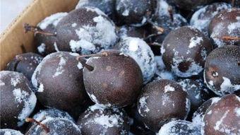 娱乐吃瓜酱小冻梨,揭秘娱乐圈那些不为人知的幕后故事