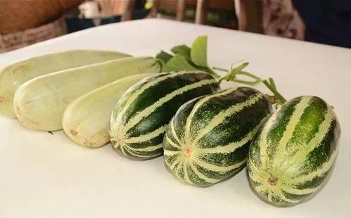 51娱乐网红吃瓜,揭秘娱乐圈幕后真相