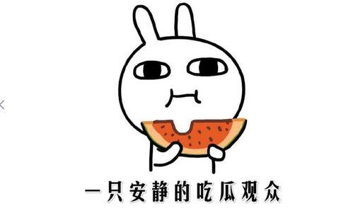 吃瓜表情是什么意思 阴阳,阴阳视角下的网络文化现象