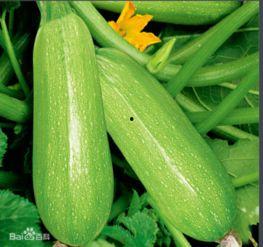 7.3娱乐圈吃瓜,揭秘7.3吃瓜大事件