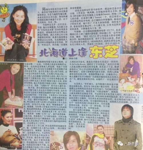 娱乐圈吃瓜爆料记者小说,揭秘吃瓜记者的爆料传奇