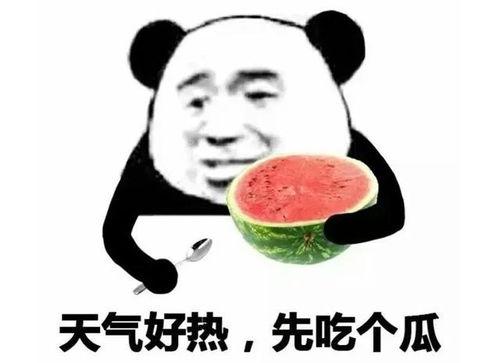 微信吃瓜表情包怎么没有了