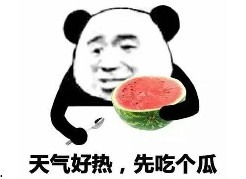 吃瓜表情包含义