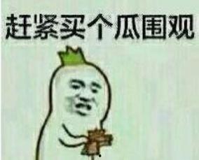 吃瓜群众表情包,笑料横生的网络文化现象